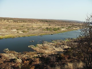 The elephant river