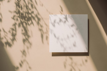 Empty white paper mock up with leaves shadows on light beige background.