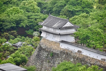 Fototapeta na wymiar 新緑の姫路城