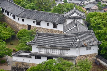 新緑の姫路城