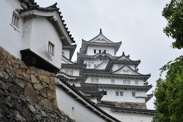 Naklejka premium 新緑の姫路城