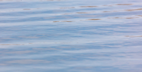 The surface of the water in the pond as an abstract background.