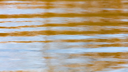 The surface of the water in the pond as an abstract background.