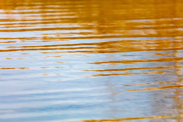 The surface of the water in the pond as an abstract background.