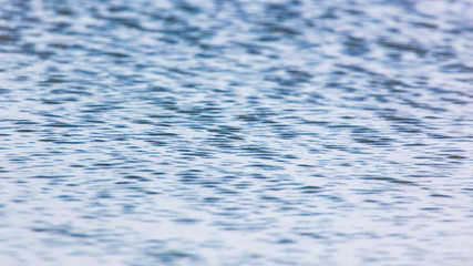 The surface of the water in the pond as an abstract background.