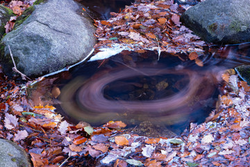 Laubkreisel in der Bode