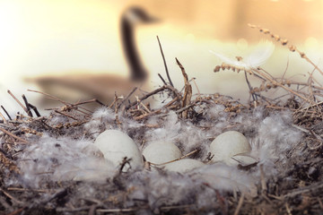 Spring beginnings