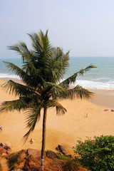 Tamil Nadu / India. March 24 2018: sea shells on the sea.