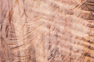 Natural wooden background, close-up