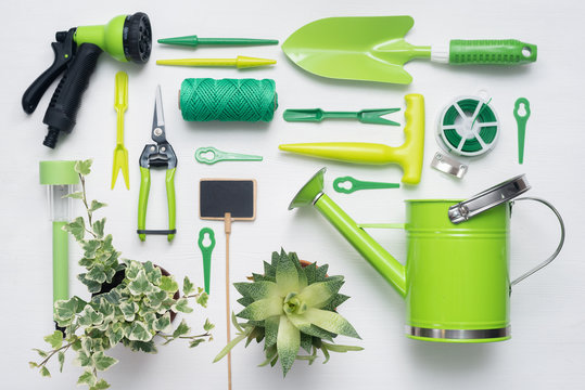 Gardening tools and green plants in flower pots on white wooden table background. Flat lay.