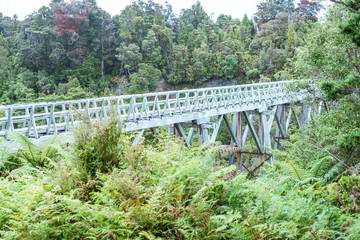 Obraz premium Old historic wooden bridge in forest - new zealand