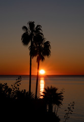 Beautiful red sunrise reflected in the sea and black silhouette of palm trees in Torremolinos, Spain. Poster, tourist, travel, holiday and Spain concept

