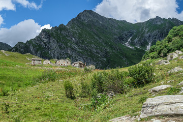 Fototapeta na wymiar Alpe Campo, Piedmont, Italy