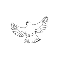 Simplified image of flying dove with love letter isolated on white. Hand drawn contoured pigeon. Vector illustration as a symbol of love or peace