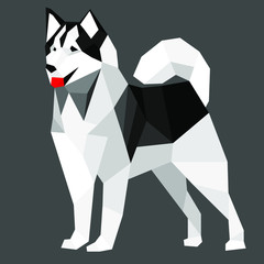 Black and white low poly dog. Vector illustration, siberian husky dog. © sorawat