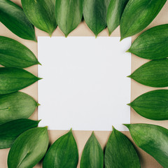 Natural background created from fresh green leaves. Flat lay. Nature concept.