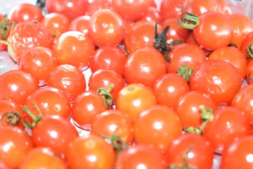 Bunch of red tomato