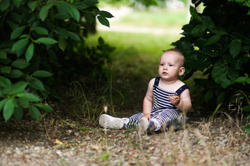 funny toddler boy sitting on grass in summer park. play in summer park