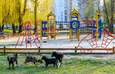Dogs on background of empty playground, wrapped with a warning red and white tape, which is forbidden to visit during the quarantine period of the pandemic of COVID-19 disease caused by coronavirus