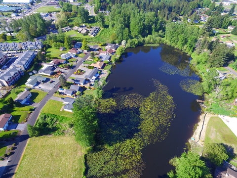 Lake near Federal Way, WA drone aerial photo with a few water front properties and spring green landscape.