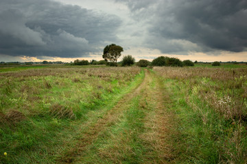 Road through a wild meadow, horizon and dark clouds on the sky