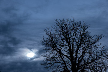 Fototapeta premium Die Sonne hinter dichten Walken über Thale