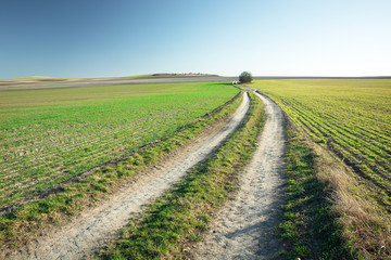 A long dirt road through fields, horizon and blue sky