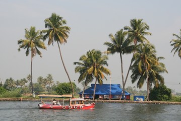 dans les canaux des backwaters en Inde dans le Kerala
