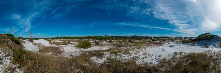 Wild Florida, Topsail Hill Preserve, Walton County Florida