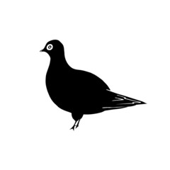 Single hand drawn black pigeon shadow isolated on white background. Bird icon cartoon character portrait figure standing. Vector illustration. Cute pigeon template. Black silhouette.