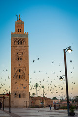 Fototapeta premium koutubia tower in marrakech at sunrise with birds flying