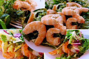 Green shrimp salad. Seafood background.