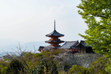 Obraz premium Kiyomizudera, Kyoto during the coronavirus crisis.