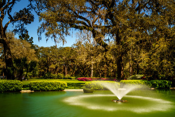 The Beautiful Gardens of Eden