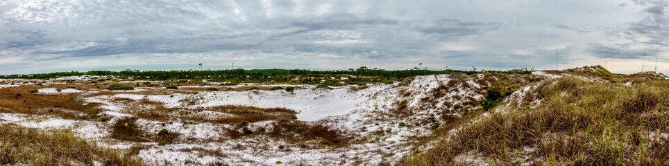 Wild Florida, Topsail Hill Preserve, Walton County Florida