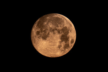 Fototapeta na wymiar Full Moon