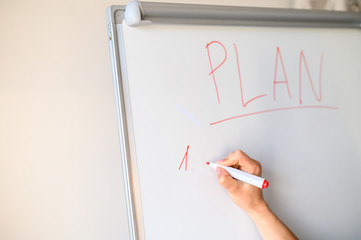 Young woman writes plan on flipchart