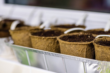 biodegradable seed pots stacked next to window under room light ready for new season gardening