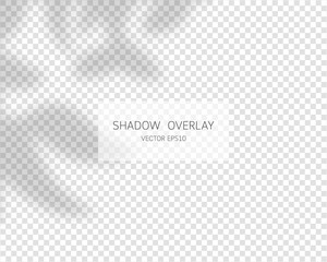 Shadow overlay effect. Natural shadows isolated on transparent background. Vector illustration. 