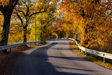Obraz premium autumn colors in chianti