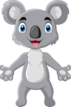 cartoon funny koala a standing