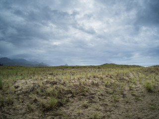 Fototapeta na wymiar Dunes at Cannon Beach, Oregon