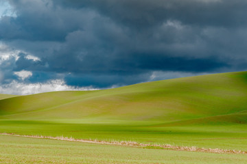 Lands of Tuscany in the Province of Siena Italy