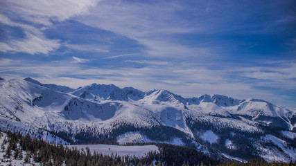 Fototapeta na wymiar Tatry- Dolina Chochołowska zimą