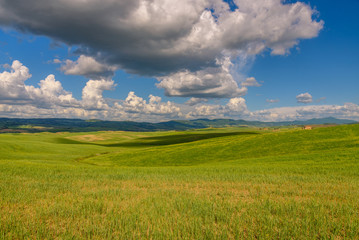 Obraz premium Lands of Tuscany in the Province of Siena Italy