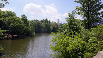 Fototapeta premium Central Park