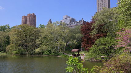 Fototapeta premium Central Park
