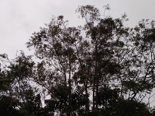 sky
