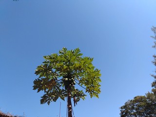 sky