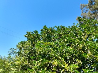 sky